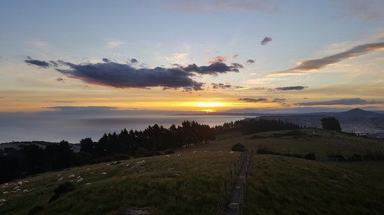 Otago Troopers Memorial